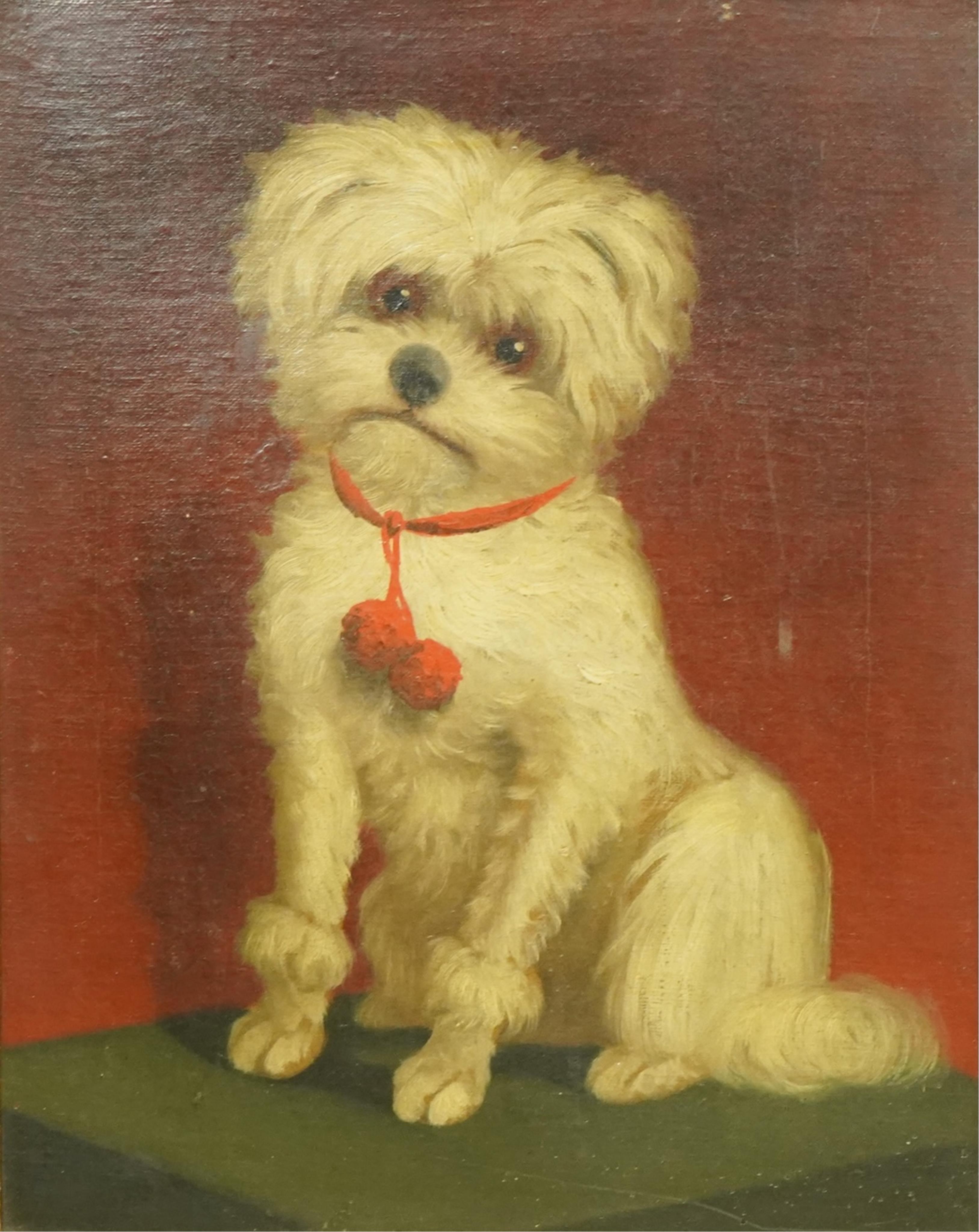 English School c.1840 , Portrait of a Maltese terrier, oil on canvas, 38 x 30cm